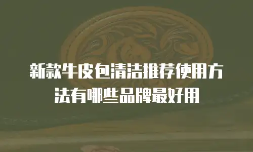 新款牛皮包清洁推荐使用方法有哪些品牌最好用