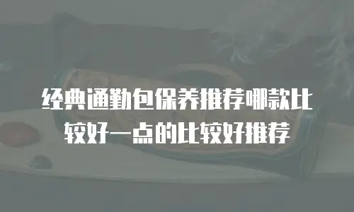 经典通勤包保养推荐哪款比较好一点的比较好推荐