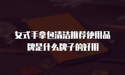 女式手拿包清洁推荐使用品牌是什么牌子的好用