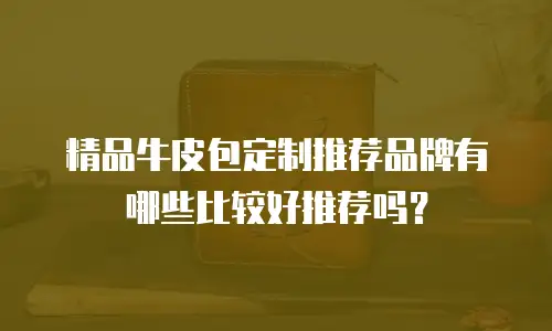 精品牛皮包定制推荐品牌有哪些比较好推荐吗？