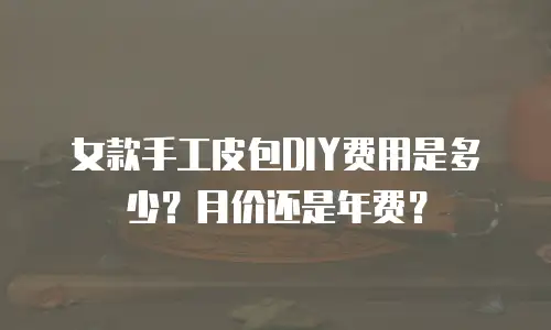 女款手工皮包DIY费用是多少？月价还是年费？
