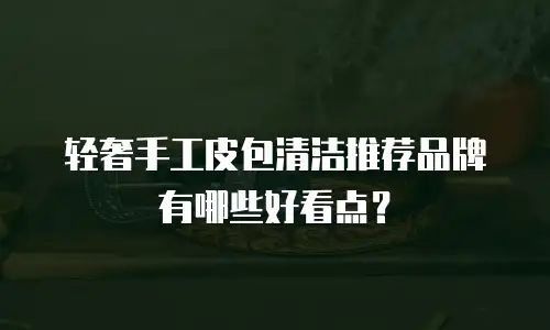 轻奢手工皮包清洁推荐品牌有哪些好看点？