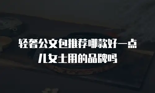 轻奢公文包推荐哪款好一点儿女士用的品牌吗