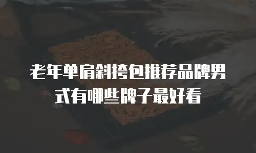 老年单肩斜挎包推荐品牌男式有哪些牌子最好看
