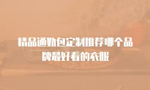 精品通勤包定制推荐哪个品牌最好看的衣服