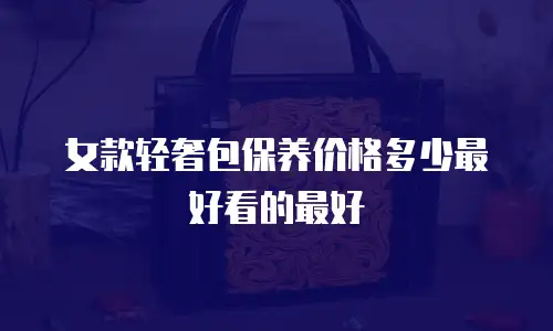 女款轻奢包保养价格多少最好看的最好