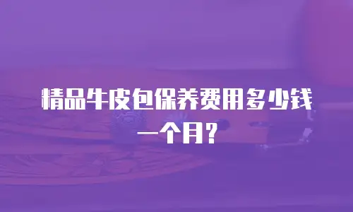 精品牛皮包保养费用多少钱一个月？