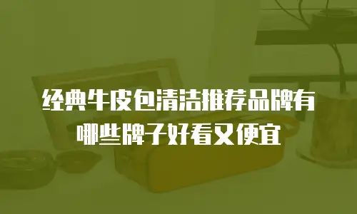 经典牛皮包清洁推荐品牌有哪些牌子好看又便宜
