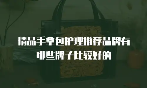精品手拿包护理推荐品牌有哪些牌子比较好的