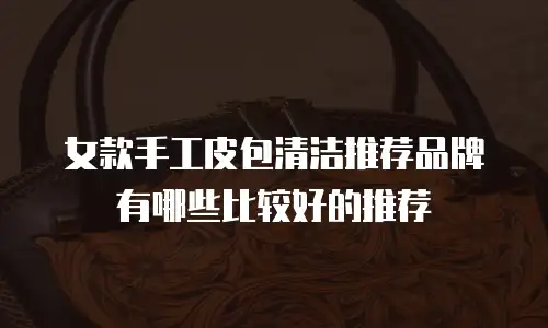 女款手工皮包清洁推荐品牌有哪些比较好的推荐