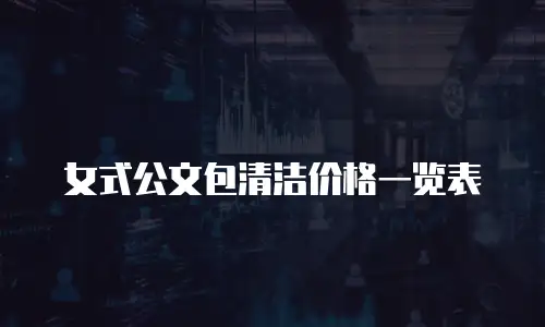 女式公文包清洁价格一览表