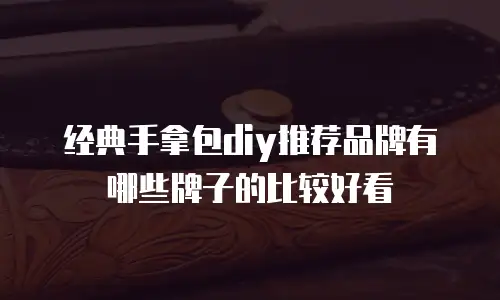 经典手拿包diy推荐品牌有哪些牌子的比较好看