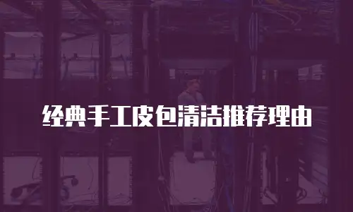 经典手工皮包清洁推荐理由
