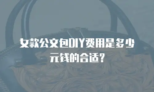 女款公文包DIY费用是多少元钱的合适？