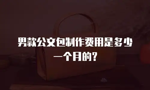 男款公文包制作费用是多少一个月的？