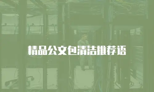 精品公文包清洁推荐语