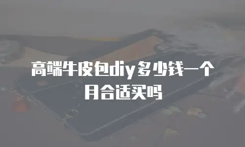 高端牛皮包diy多少钱一个月合适买吗