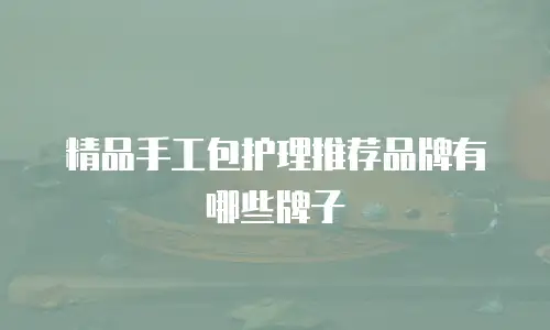 精品手工包护理推荐品牌有哪些牌子