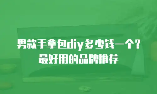 男款手拿包diy多少钱一个？最好用的品牌推荐