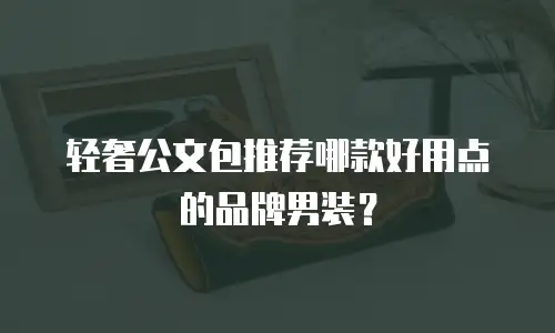 轻奢公文包推荐哪款好用点的品牌男装？