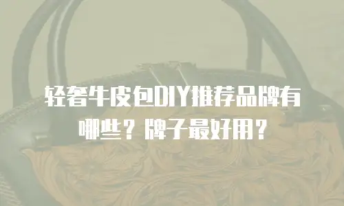 轻奢牛皮包DIY推荐品牌有哪些？牌子最好用？