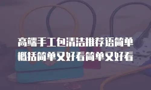 高端手工包清洁推荐语简单概括简单又好看简单又好看