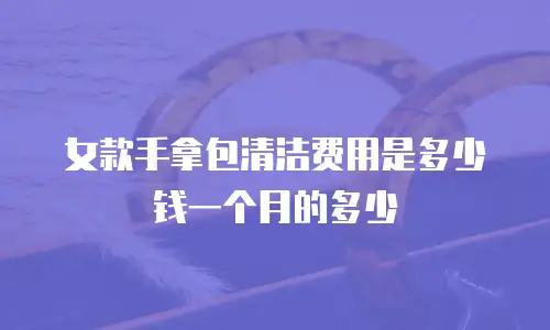 女款手拿包清洁费用是多少钱一个月的多少