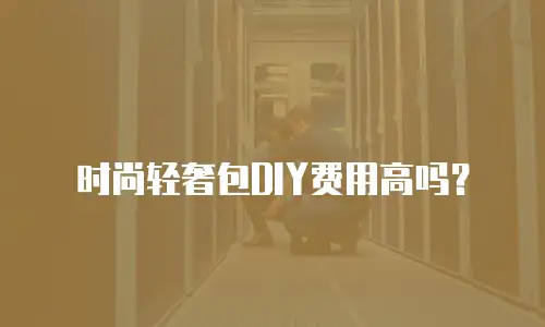 时尚轻奢包DIY费用高吗？