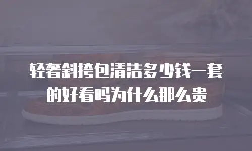 轻奢斜挎包清洁多少钱一套的好看吗为什么那么贵