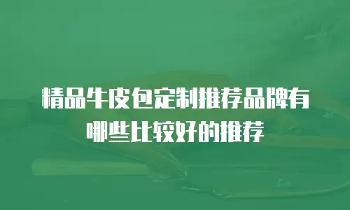 精品牛皮包定制推荐品牌有哪些比较好的推荐