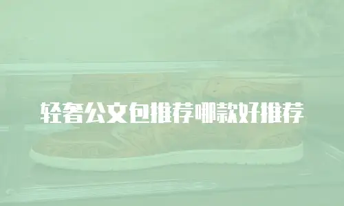 轻奢公文包推荐哪款好推荐