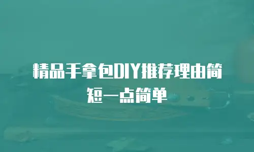 精品手拿包DIY推荐理由简短一点简单