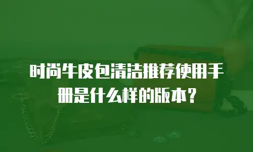 时尚牛皮包清洁推荐使用手册是什么样的版本？