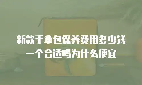新款手拿包保养费用多少钱一个合适吗为什么便宜