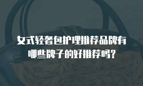 女式轻奢包护理推荐品牌有哪些牌子的好推荐吗？