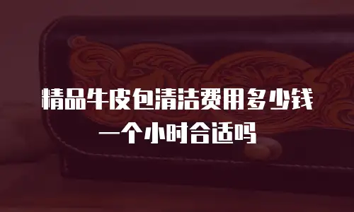 精品牛皮包清洁费用多少钱一个小时合适吗