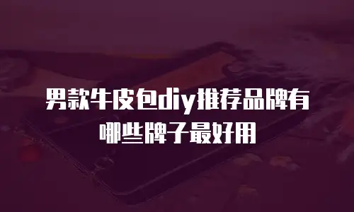 男款牛皮包diy推荐品牌有哪些牌子最好用