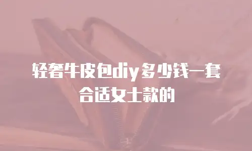 轻奢牛皮包diy多少钱一套合适女士款的