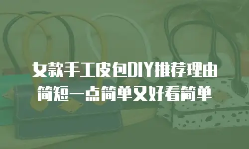 女款手工皮包DIY推荐理由简短一点简单又好看简单