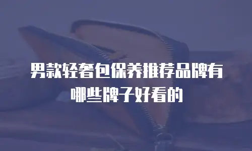 男款轻奢包保养推荐品牌有哪些牌子好看的
