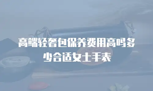 高端轻奢包保养费用高吗多少合适女士手表