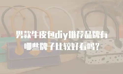 男款牛皮包diy推荐品牌有哪些牌子比较好看吗？