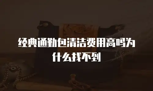 经典通勤包清洁费用高吗为什么找不到