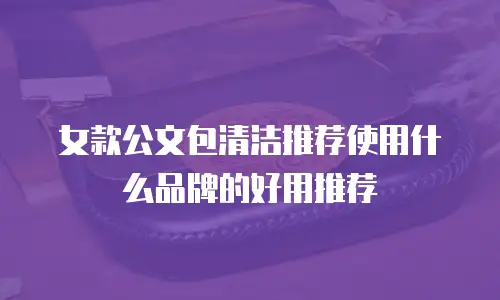 女款公文包清洁推荐使用什么品牌的好用推荐