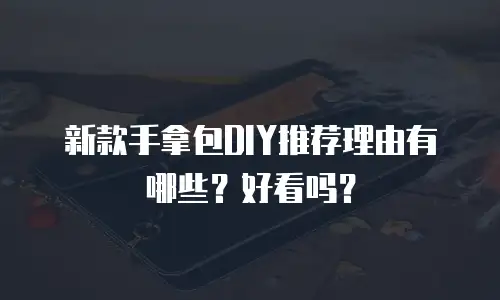 新款手拿包DIY推荐理由有哪些？好看吗？