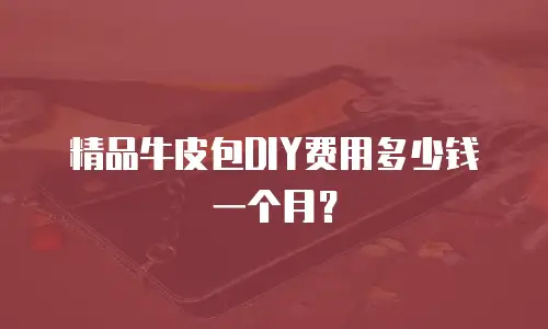 精品牛皮包DIY费用多少钱一个月？