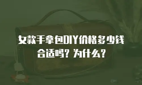女款手拿包DIY价格多少钱合适吗？为什么？