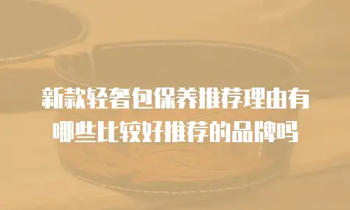 新款轻奢包保养推荐理由有哪些比较好推荐的品牌吗