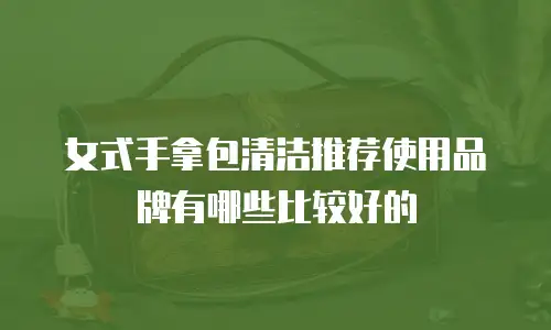 女式手拿包清洁推荐使用品牌有哪些比较好的