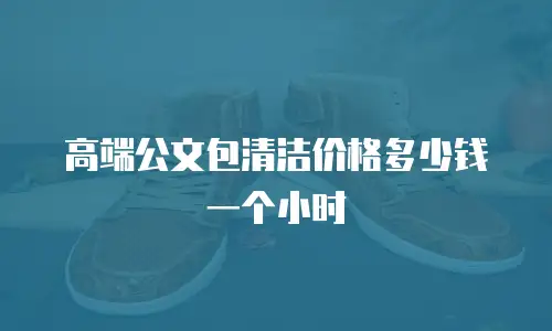 高端公文包清洁价格多少钱一个小时